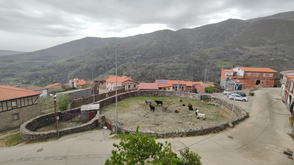 Imagen Plaza de Toros