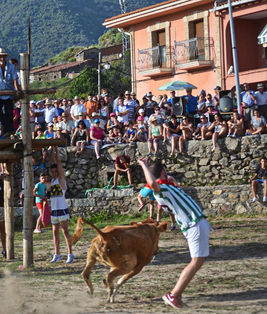 Imagen Fiestas de Agosto